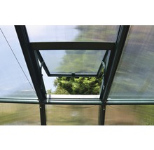 Ansicht von innen eines Gewächshauses mit geöffnetem Fenster