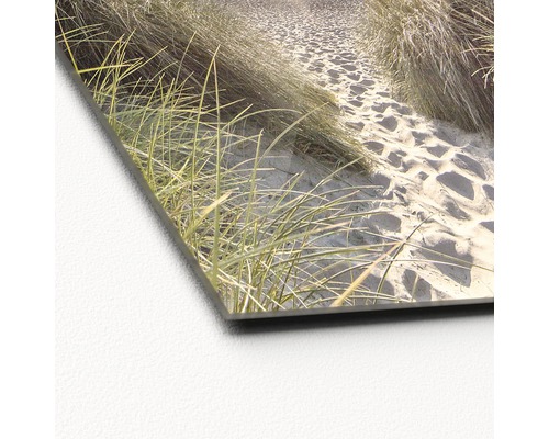 Acrylglasbild mit Strandmotiv, Dünenlandschaft