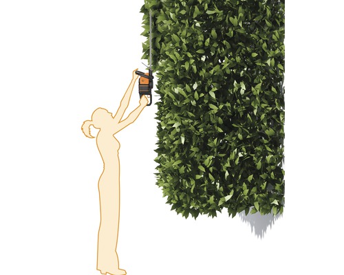 Illustration einer Frau, die eine hohe Hecke mit einer Heckenschere schneidet