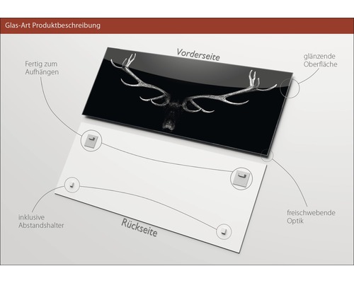 Glasbild mit Hirschgeweih-Motiv, inklusive Abstandshalter zur Wandmontage