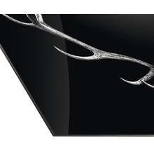 Detailansicht einer Acrylglasplatte mit Geweihmotiv