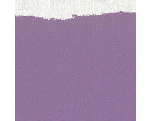 Wandanstrich in Lila