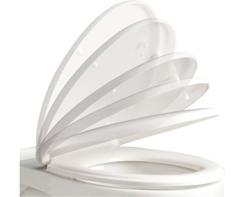 Toilettensitz mit Absenkautomatik