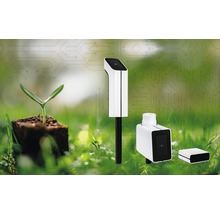 Szene mit Pflanzensensor, Boden und Setzling im Garten