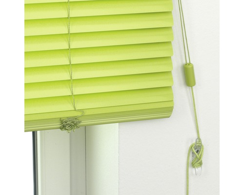 Linea Garden Friend Sonnensegel Mit Alu-Rollo – Höhe 250 Cm, Länge 200 Cm, Grün, Für Garten & Terrasse