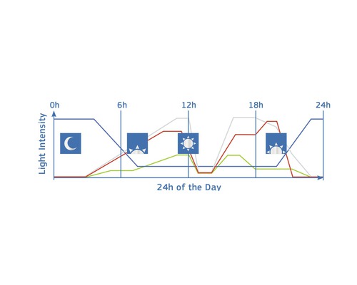 Grafik zur Lichtintensität über 24 Stunden