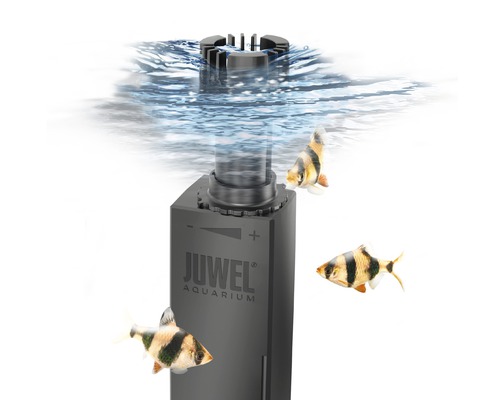Juwel Aquarium Filter mit Wasser und Fischen