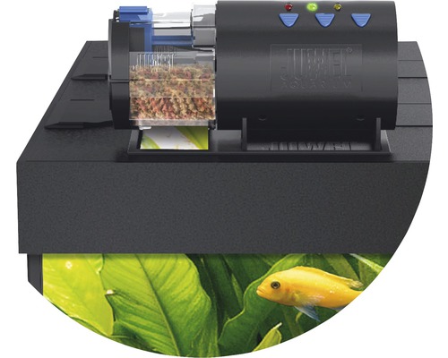 Automatische Futtervorrichtung für ein Aquarium
