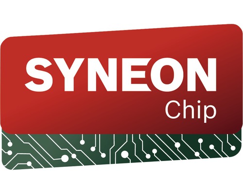 Syneon Chip