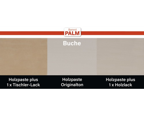 Barend Palm Logo, Buche Holzpaste plus mit Tischlerlack, Originalton und Holzlack