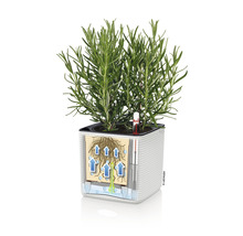 Blumentopf Lechuza Cube Color Kunststoff 14x14x14 cm weiß inkl. Erdbewässerungssystem und Wasserstandsanzeiger-thumb-1