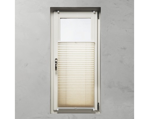 Fenster mit Plissee-Faltstore zur Lichtregulierung und als Sichtschutz