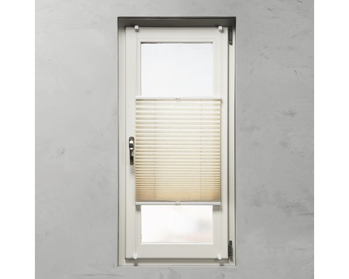 Fenster mit Plissee-Rollo zur Beschattung und als Sichtschutz