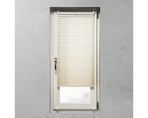 Plissee am Fenster zur Lichtregulierung und zum Sichtschutz