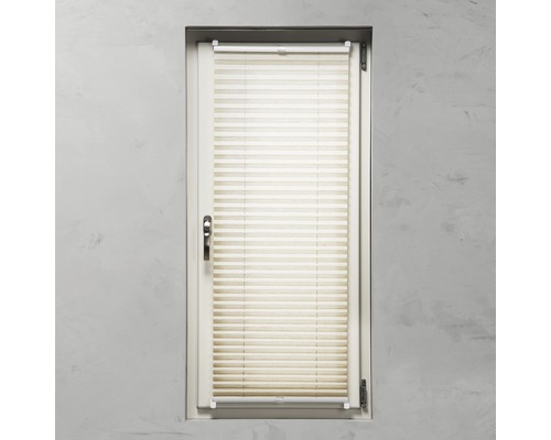 Fenster mit Plissee zum Sichtschutz