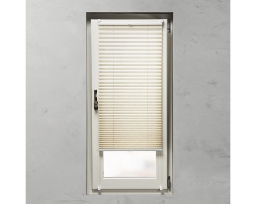 Fenster mit Plissee-Rollo zur Lichtregulierung