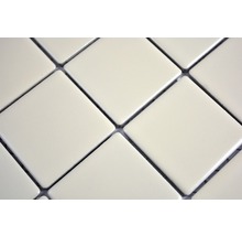 Keramikmosaik CD 272 30x30 cm beige matt