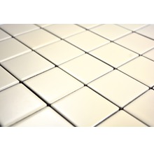 Keramikmosaik CD 272 30x30 cm beige matt