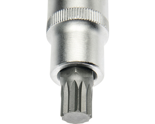 Torx-Bit Einsatz für Schraubenschlüssel