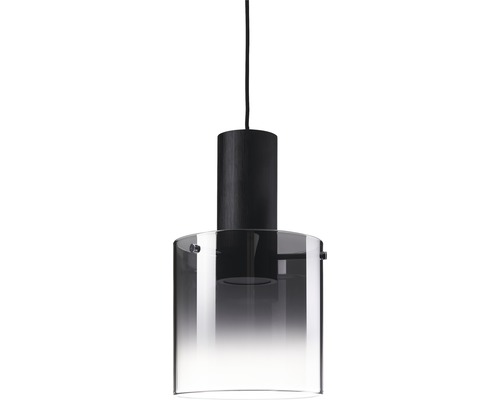 Hängelampe mit Glasschirm