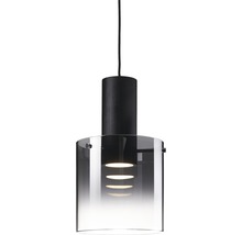 Hängelampe mit zylindrischem Lampenschirm aus Glas und Holzelement