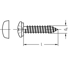 Blechschraube m. Halbrundkopf 4,8x22 mm verzinkt, 1000 Stück