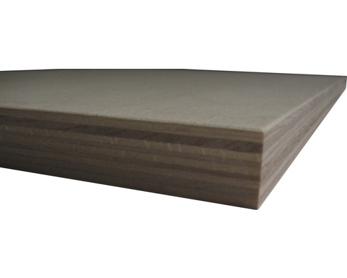 Multiplexplatte Buche B/BB 2500x1500x15mm Sperrholzplatte im Detail
