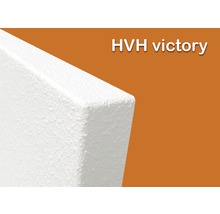 Infrarot Heizpaneel Vitalheizung Victory HVH 450 59,2x89,2 cm 450 Watt