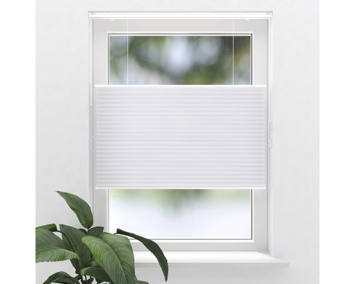 SOLUNA Wabenplissee freihängend mit Wand-/Deckenbefestigung und Zugschnurbedienung thermo weiß 70x130 cm SOLUNA Wabenplissee freihängend mit Wand-/Deckenbefestigung und Zugschnurbedienung thermo weiß 70x130 cm