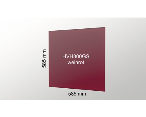 HVH300GS Glasscheibe, 585 x 585 Millimeter