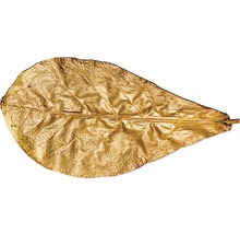 Seemandelbaumblätter Dennerle Catappa Leaves