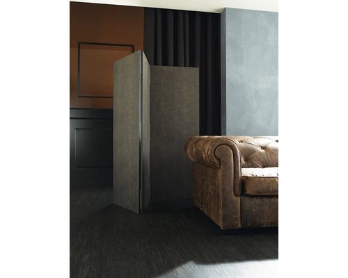 Innenraum mit Ledersofa und Raumteiler