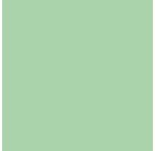 Wandfarbe SIGNEO Jade Green 2,5 l