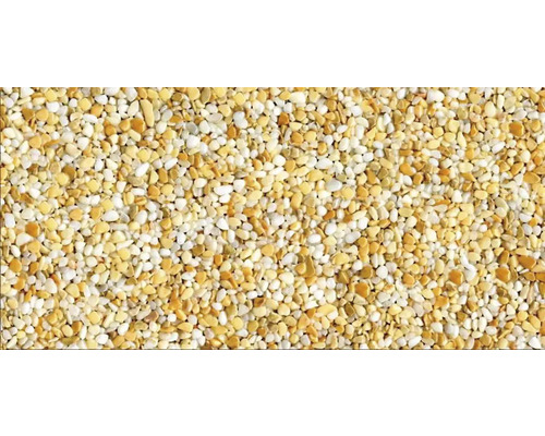 Steinteppich-Set 1 m² Ravello Fein Gelb Innenbereich - Wand Nahaufnahme von gelbem und weißem Ziersplitt