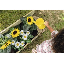Person gießt Blumen in einem Blumenkasten mit einer Gießkanne.