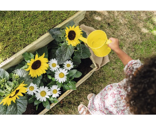 Person gießt Blumen in einem Blumenkasten mit einer Gießkanne.