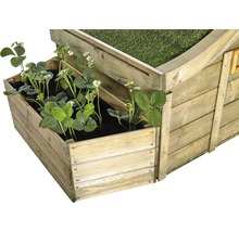 Hochbeet aus Holz mit Erdbeerpflanzen