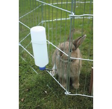 Kaninchen im Freilaufgehege mit Trinkflasche