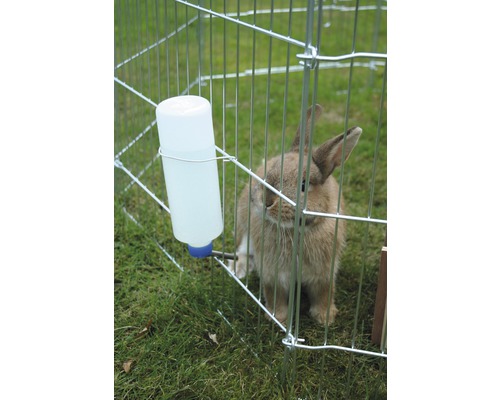 Kaninchen im Freilaufgehege mit Trinkflasche