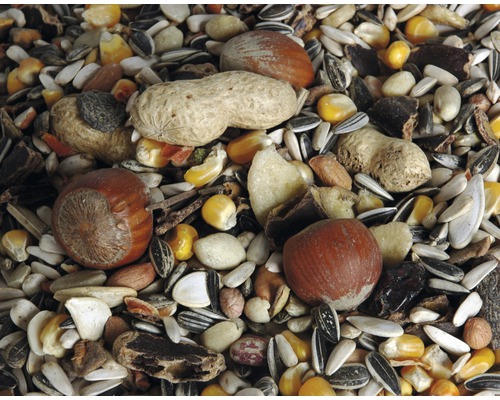 Nahaufnahme von Vogelfutter mit Nüssen, Samen und Mais