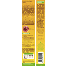 Kirschfruchtfliegen-Falle Solabiol 5 Stk