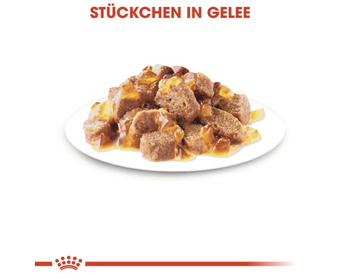 Katzenfutterstücke in Gelee auf einem Teller