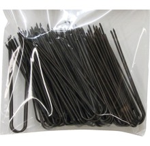 Packung Metall-Befestigungsstifte