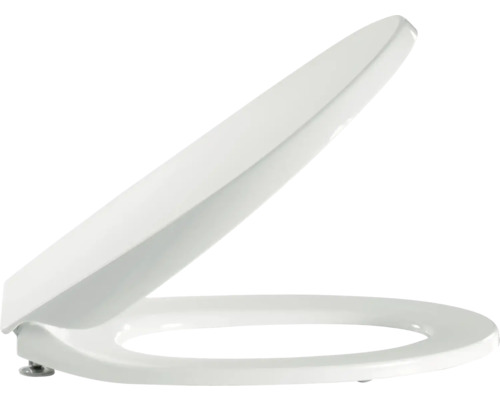 Toilettensitz mit Deckel, aus Kunststoff