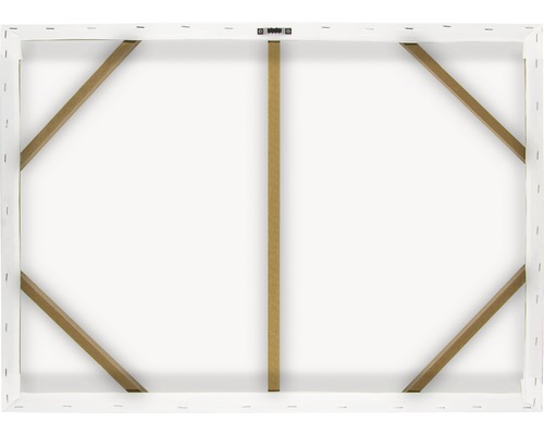 Rückseite einer Leinwand mit Holzrahmen und Aufhänger