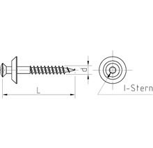 Spenglerschraube m. Dichtscheibe 4,5x55 mm Edelstahl A2 mit I-Stern I 20, 100 Stück