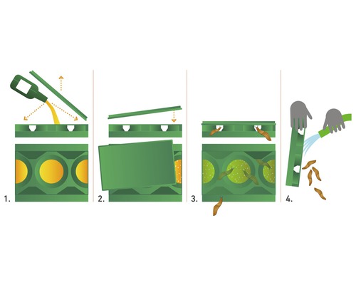 Illustration einer Schneckenfalle: Befüllen mit Flüssigkeit, Schliessen, Fangen der Schnecken und Reinigen.