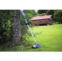 Akku Rasentrimmer im Garten an einem Baum gelehnt