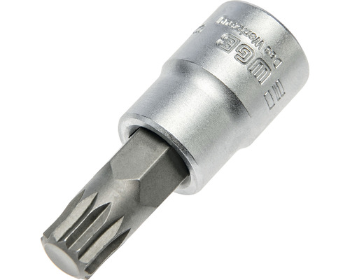 Wera Werkzeug Torx-Bit-Einsatz