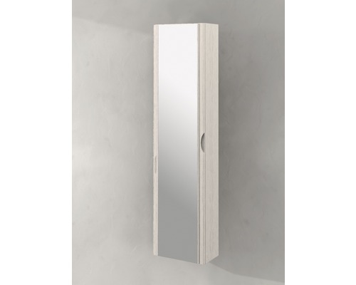 Spiegelschrank für das Badezimmer mit Tür